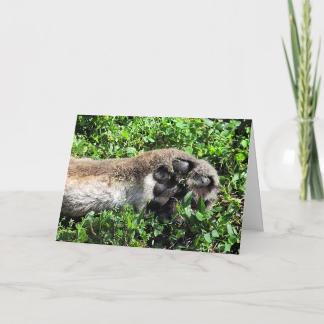 Vous êtes complètement paw-some Carte de remerciem (Devant)