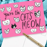 VOUS ÊTES LA Carte Postale MEOW Mignonne Kittens D
