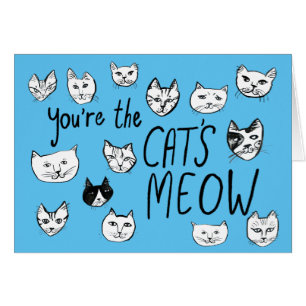 VOUS ÊTES LA CHATTE MEOW Cute Kittens amour bleu