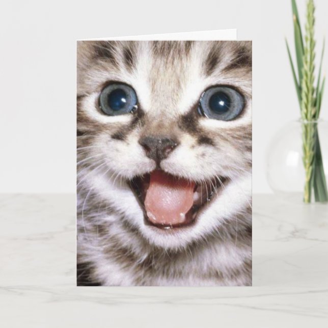 Vous êtes le chat à l'honneur ! Carte de chat drôl (Devant)