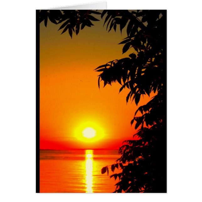 Vous Êtes Le Soleil De Ma Vie ! (Devant)