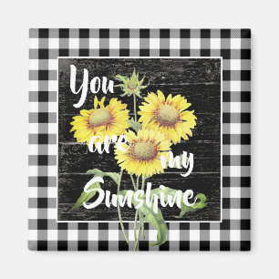 Vous êtes mon aimant de soleil