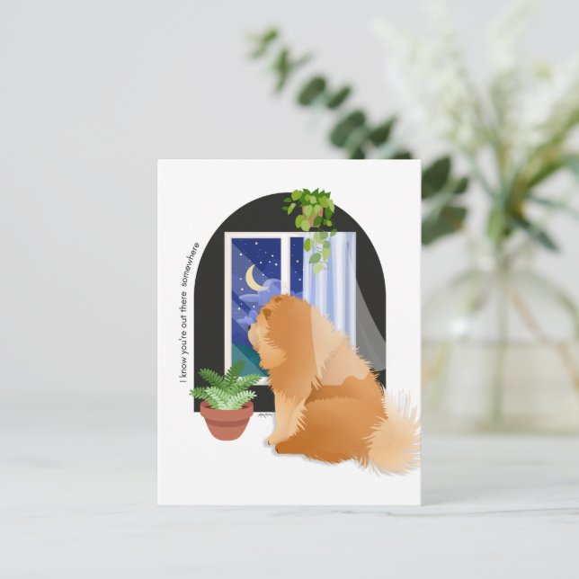 VOUS ÊTES QUELQUE PART LÀ-bas Carte postale Chow (Debout devant)