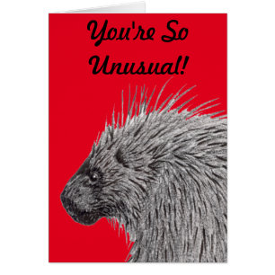 Vous êtes si inhabituel Porcupine