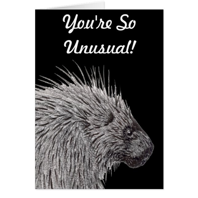 Vous êtes si inhabituel Porcupine (Devant)