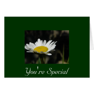 Vous êtes Spécial