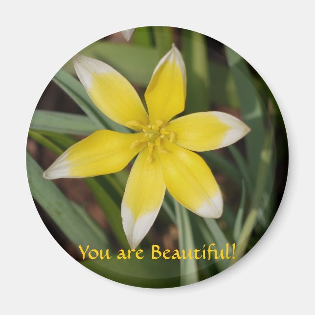 Vous êtes un bel aimant à fleurs (Devant)