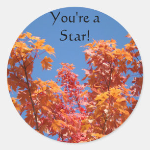 Vous êtes une star ! autocollants Feuilles d'arbre