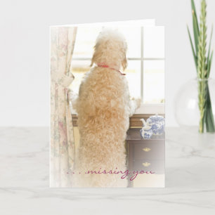 Vous manquant - carte - chien