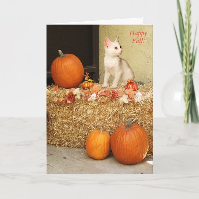 Vous manquant chaton de Halloween et carte de (Devant)