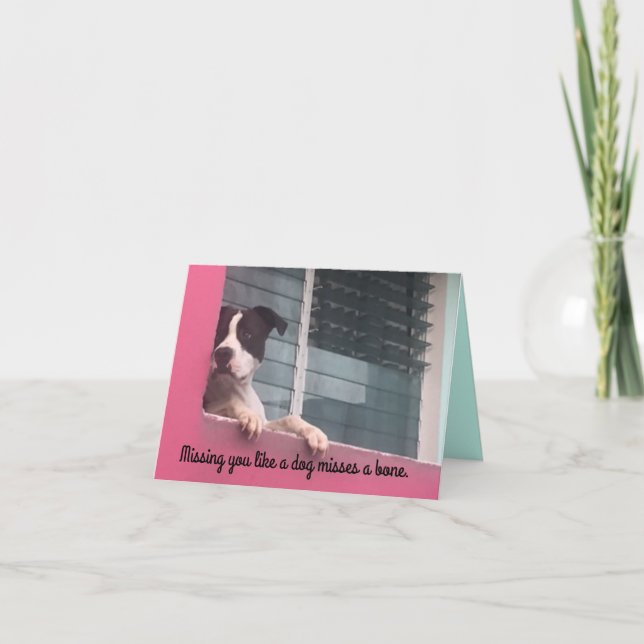 Vous manquant un carte pour notes comme un chien (Devant)