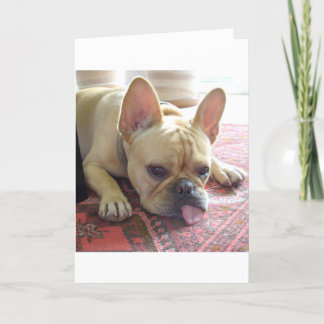 VOUS MANQUEZ ! CARTE BULLDOG FRANÇAISE