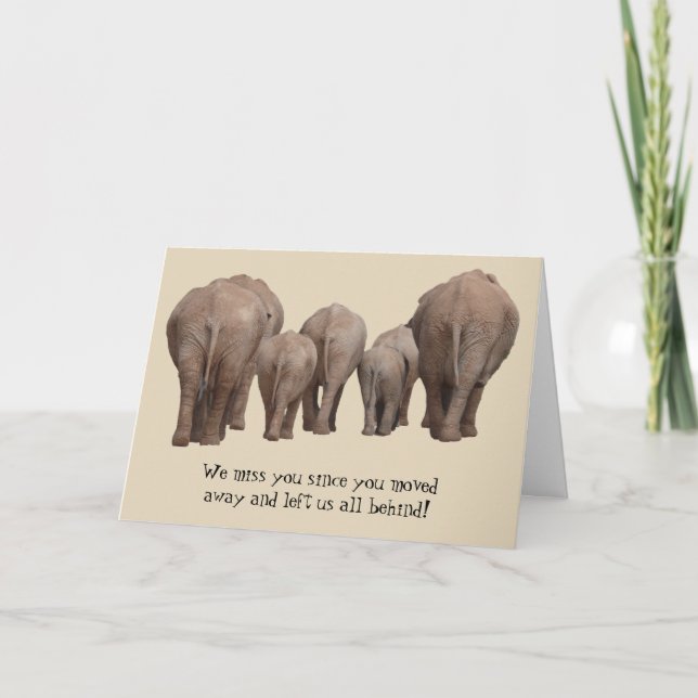 Vous Manquez Déplacé De La Carte Elephant (Devant)