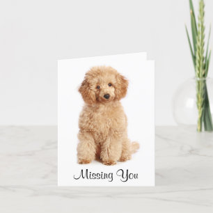 Vous Manquez La Carte De Chien De Chien De Puppett