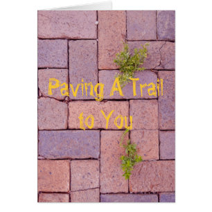 Vous Manquez Paving Stones Weeds Walkway Photo