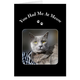 Vous M'Avez Eu Chez Meow Russian Blue Cat