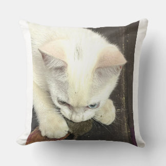 Vous m'avez eu!, Coussin de lancer drôle d'anniver
