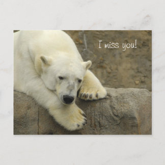 Vous me manquez - Carte postale Ours Polaire