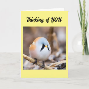 * VOUS ME MANQUEZ* DÉSIREZ DIRE EN CARTE PERSONNEL