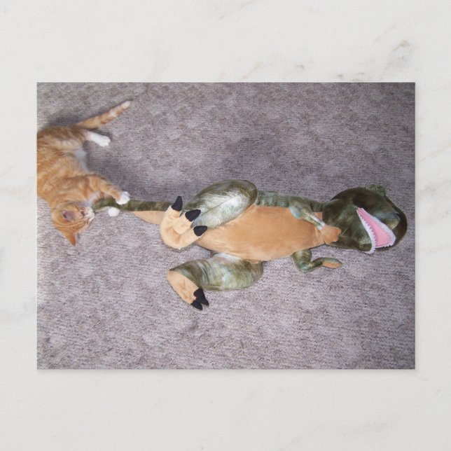 vous ne me faites pas peur Carte postale (Devant)