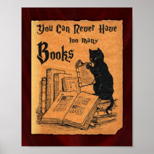 Vous Ne Pouvez Jamais Avoir Trop De Livres Poster