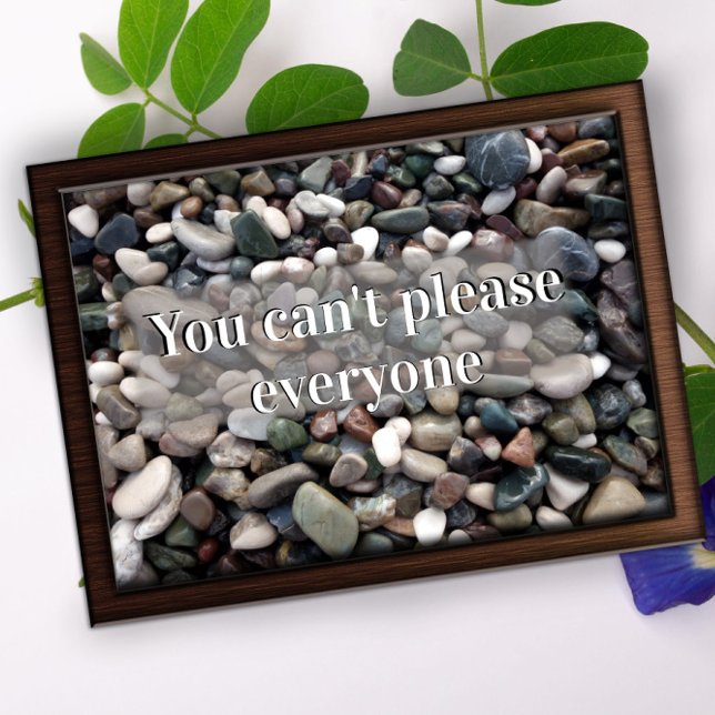 Vous ne pouvez pas plaire à tout le monde affiche  (Créateur téléchargé)