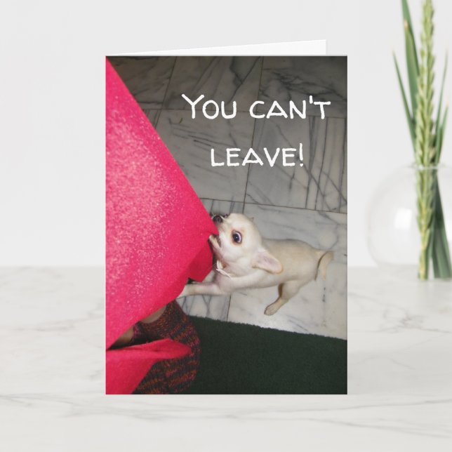 Vous ne pouvez pas quitter Chihuahua Carte de voeu (Devant)