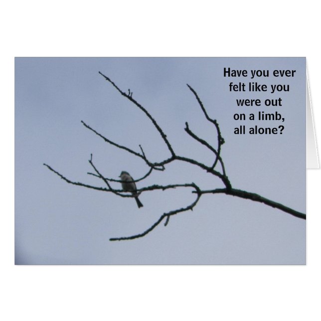 Vous n'êtes pas seuls (Devant horizontal)