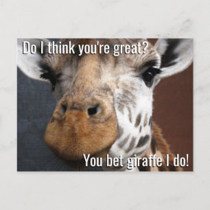Vous Pariez Giraffe Encouragement Carte Postale