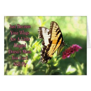 Vous Pouvez Encore Voler Tiger Swallowtail Butterf