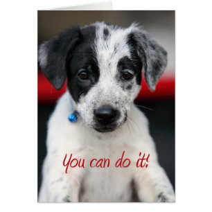 vous pouvez le faire