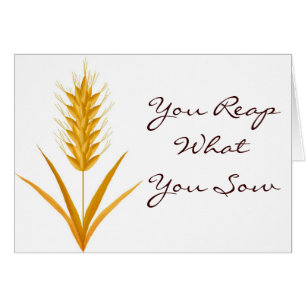 Vous récoltez ce que vous semez la carte de blé
