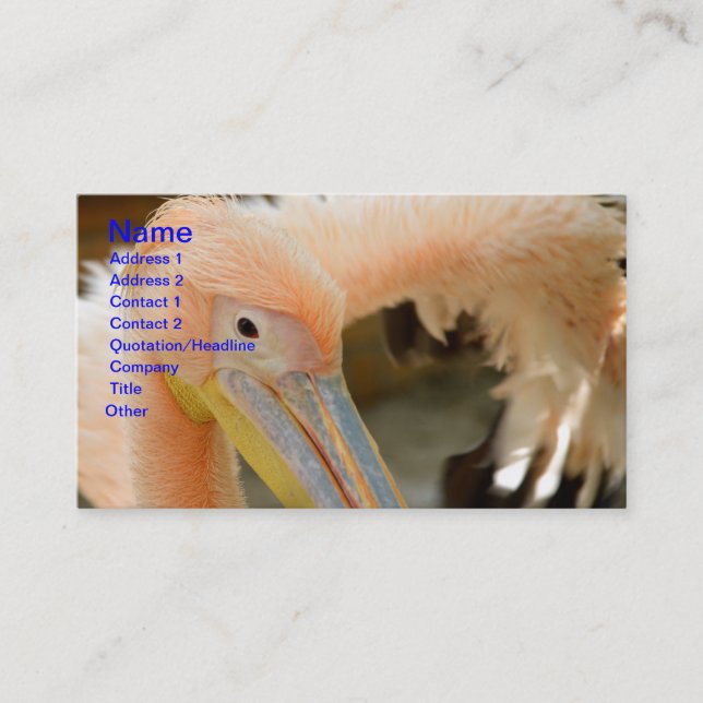 Vous regarder Carte de visite pélican (Devant)
