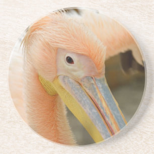 Vous regarder Dessous de verre de grès pélican