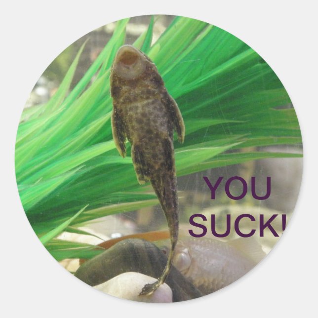 Vous Suck Sticker ! ! ! (Devant)