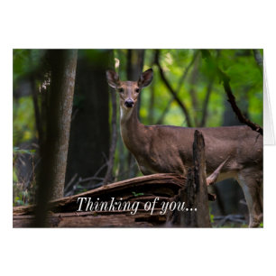 Vous Vérifier À Penser À Votre Carte