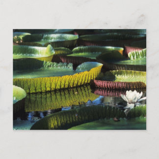 Voyage collection carte postale 7