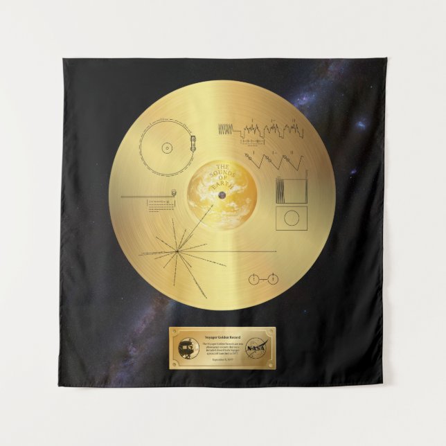 Voyager 1 Golden Record - Tapestry (Front)
