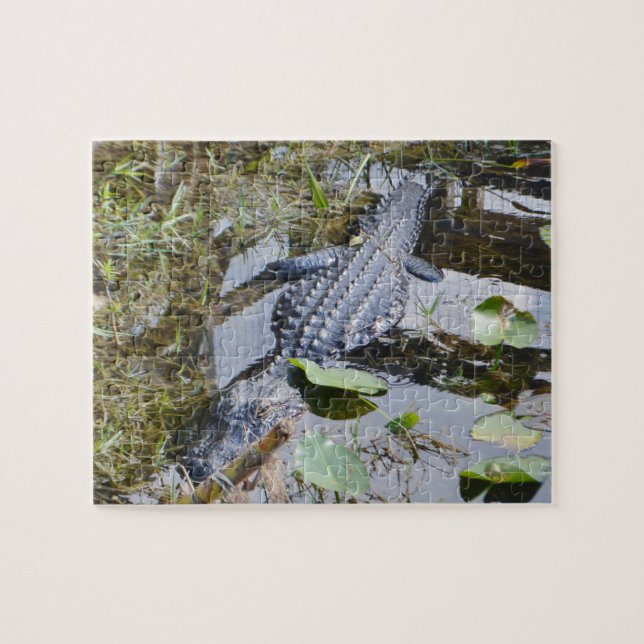 Vrai puzzle d'alligator pour l'ensemble plus jeune (Horizontal)
