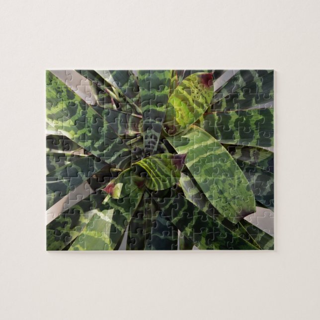 Vriesea Splendens Bromeliad Plant Striped Leaves Jigsaw Puzzle (Horizontal)