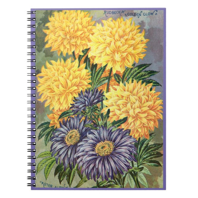 VTG Asters botaniques & Conflowers Carnet Spiral (Devant)