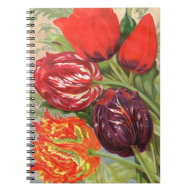 VTG Botanical Tulips Notebook (Front)