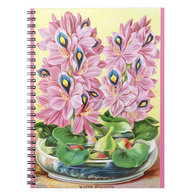VTG Carnet Spiral Botanique Hyacinthe (Devant)