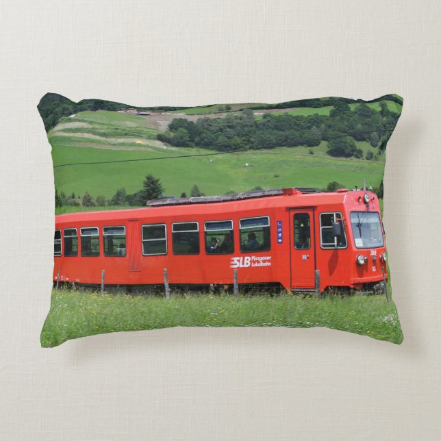 VTs 13 5090.003 Accent Pillow (Front)