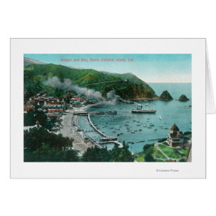 Vue aérienne d'Avalon et de la baie