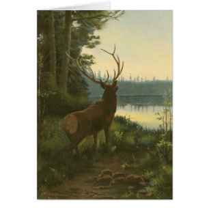 Vue arrière des élans regardant au-dessus d'un lac