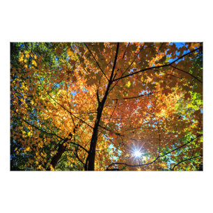 Vue Colorée du parc central d'automne Photo Imprim