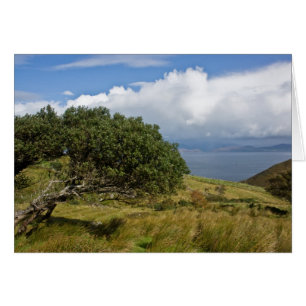 Vue de colline de Drung