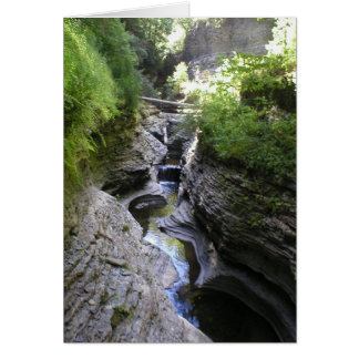 Vue de la gorge de Watkin