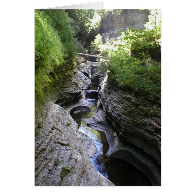 Vue de la gorge de Watkin (Devant)
